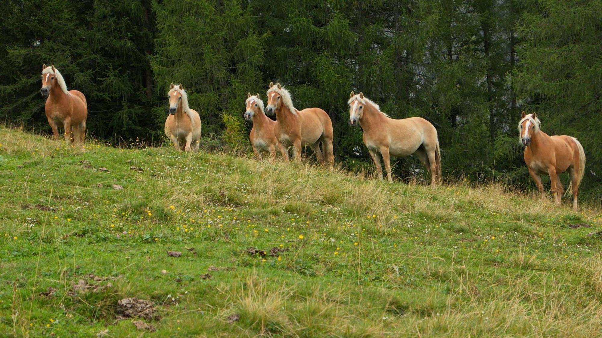 Bergresort Das Jochelius Nauders Exteriér fotografie